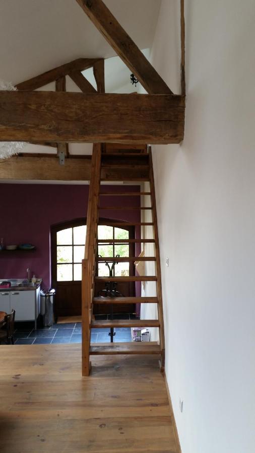 Le Peyroutet Apartman Cazaux-Villecomtal Kültér fotó